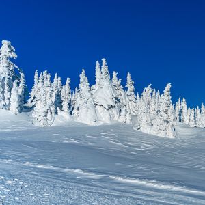 Preview wallpaper snow, trees, winter, snowy, landscape