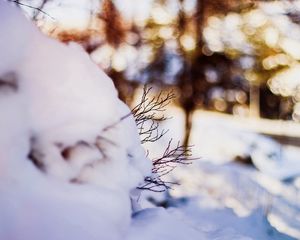 Preview wallpaper snow, twigs, winter