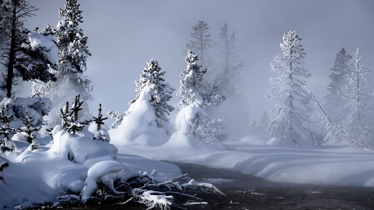 Wallpaper snow, water, fog, steam, fir-trees, trees, river
