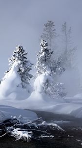 Preview wallpaper snow, water, fog, steam, fir-trees, trees, river