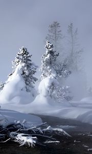 Preview wallpaper snow, water, fog, steam, fir-trees, trees, river