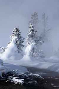 Preview wallpaper snow, water, fog, steam, fir-trees, trees, river