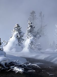 Preview wallpaper snow, water, fog, steam, fir-trees, trees, river