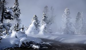 Preview wallpaper snow, water, fog, steam, fir-trees, trees, river