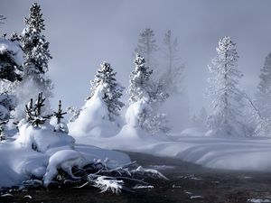 Preview wallpaper snow, water, fog, steam, fir-trees, trees, river