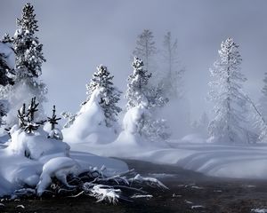 Preview wallpaper snow, water, fog, steam, fir-trees, trees, river