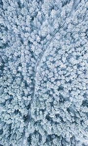 Preview wallpaper snow, winter, aerial view, forest, trees