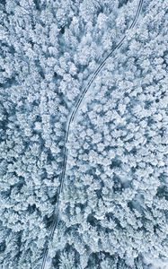 Preview wallpaper snow, winter, aerial view, forest, trees