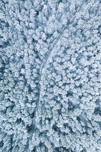 Preview wallpaper snow, winter, aerial view, forest, trees