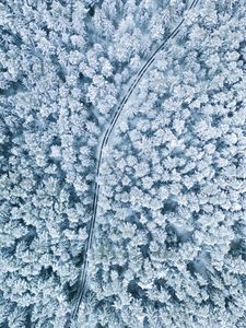 Preview wallpaper snow, winter, aerial view, forest, trees