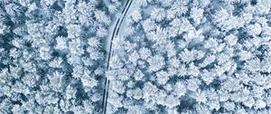 Preview wallpaper snow, winter, aerial view, forest, trees