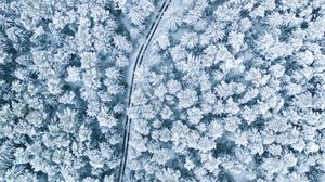 Preview wallpaper snow, winter, aerial view, forest, trees