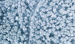 Preview wallpaper snow, winter, aerial view, forest, trees