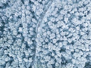 Preview wallpaper snow, winter, aerial view, forest, trees