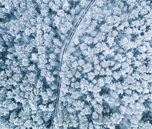 Preview wallpaper snow, winter, aerial view, forest, trees