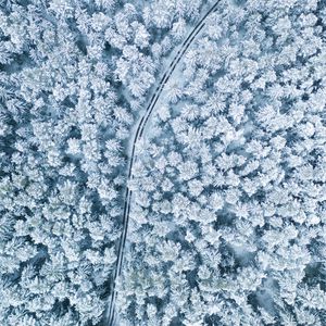 Preview wallpaper snow, winter, aerial view, forest, trees