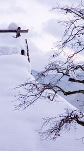 Preview wallpaper snow, winter, branches, tree