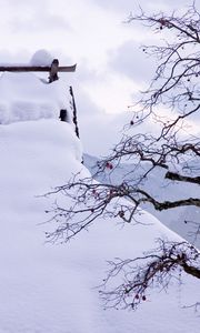 Preview wallpaper snow, winter, branches, tree