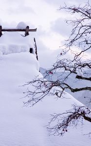 Preview wallpaper snow, winter, branches, tree