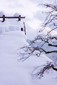 Preview wallpaper snow, winter, branches, tree