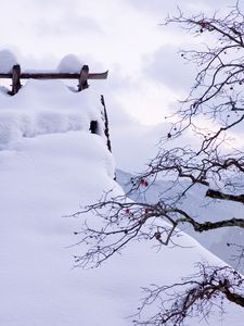 Preview wallpaper snow, winter, branches, tree