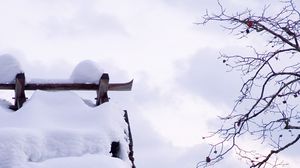 Preview wallpaper snow, winter, branches, tree