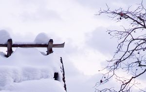 Preview wallpaper snow, winter, branches, tree