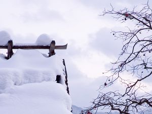 Preview wallpaper snow, winter, branches, tree