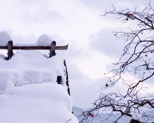 Preview wallpaper snow, winter, branches, tree
