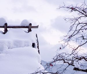 Preview wallpaper snow, winter, branches, tree