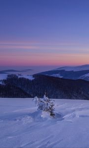 Preview wallpaper snow, winter, bush, mountains