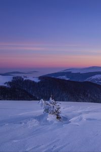 Preview wallpaper snow, winter, bush, mountains