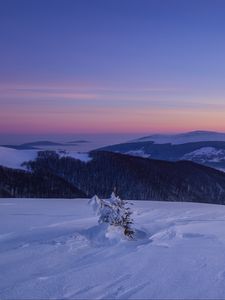 Preview wallpaper snow, winter, bush, mountains