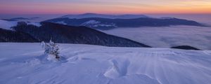 Preview wallpaper snow, winter, bush, mountains