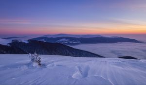 Preview wallpaper snow, winter, bush, mountains