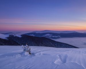 Preview wallpaper snow, winter, bush, mountains