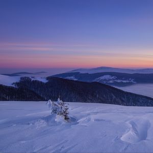 Preview wallpaper snow, winter, bush, mountains