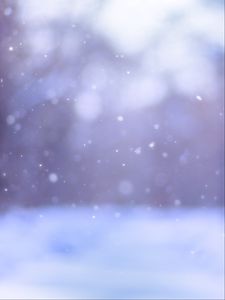 Preview wallpaper snow, winter, cold, frost, bokeh