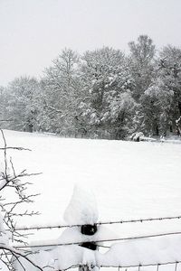 Preview wallpaper snow, winter, park, fence, trees, snowdrifts