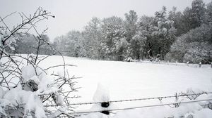 Preview wallpaper snow, winter, park, fence, trees, snowdrifts