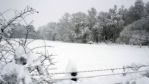 Preview wallpaper snow, winter, park, fence, trees, snowdrifts