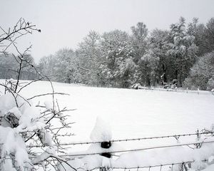 Preview wallpaper snow, winter, park, fence, trees, snowdrifts