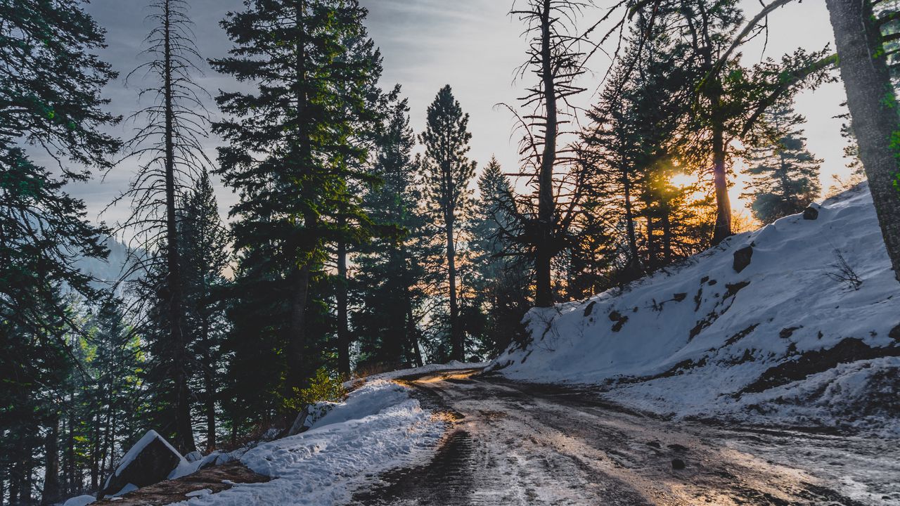 Wallpaper snow, winter, trees, road