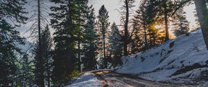 Preview wallpaper snow, winter, trees, road