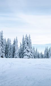 Preview wallpaper snow, winter, trees, winter landscape, snowy