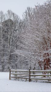Preview wallpaper snow, winter, trees, forest, fence, landscape, white