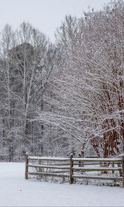 Preview wallpaper snow, winter, trees, forest, fence, landscape, white