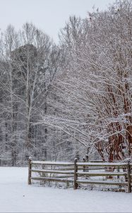 Preview wallpaper snow, winter, trees, forest, fence, landscape, white