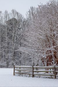 Preview wallpaper snow, winter, trees, forest, fence, landscape, white