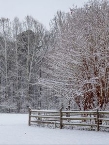 Preview wallpaper snow, winter, trees, forest, fence, landscape, white